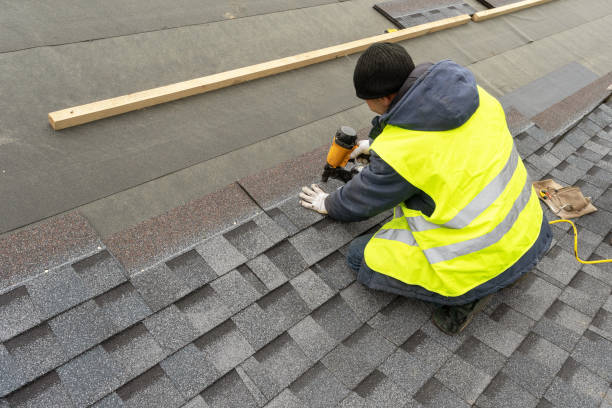 Best Metal Roofing Contractor  in Luna Pier, MI