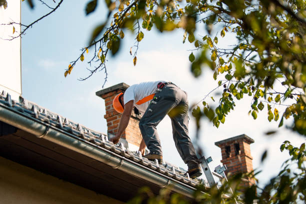 Roof Gutter Cleaning in Luna Pier, MI