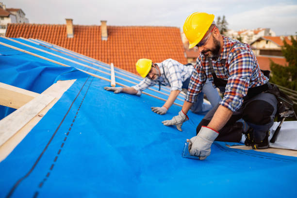 Best Roof Waterproofing Services  in Luna Pier, MI