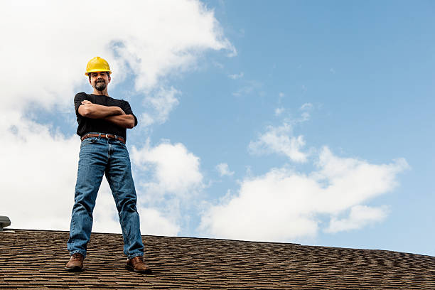 Best Roof Maintenance Services  in Luna Pier, MI
