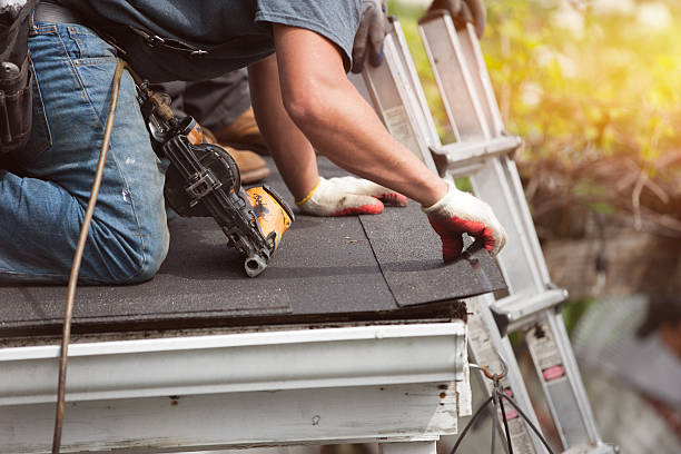 Best Sealant for Roof  in Luna Pier, MI