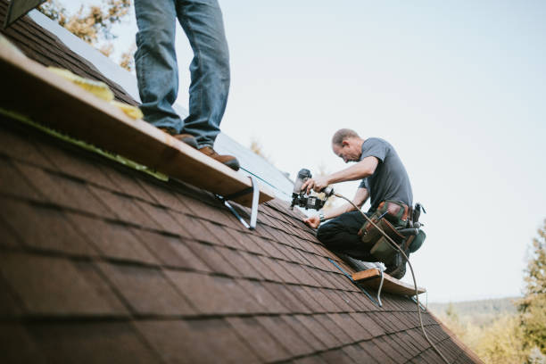 Best Tile Roofing Contractor  in Luna Pier, MI