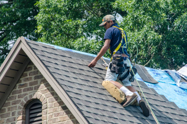 Best Emergency Roof Repair  in Luna Pier, MI